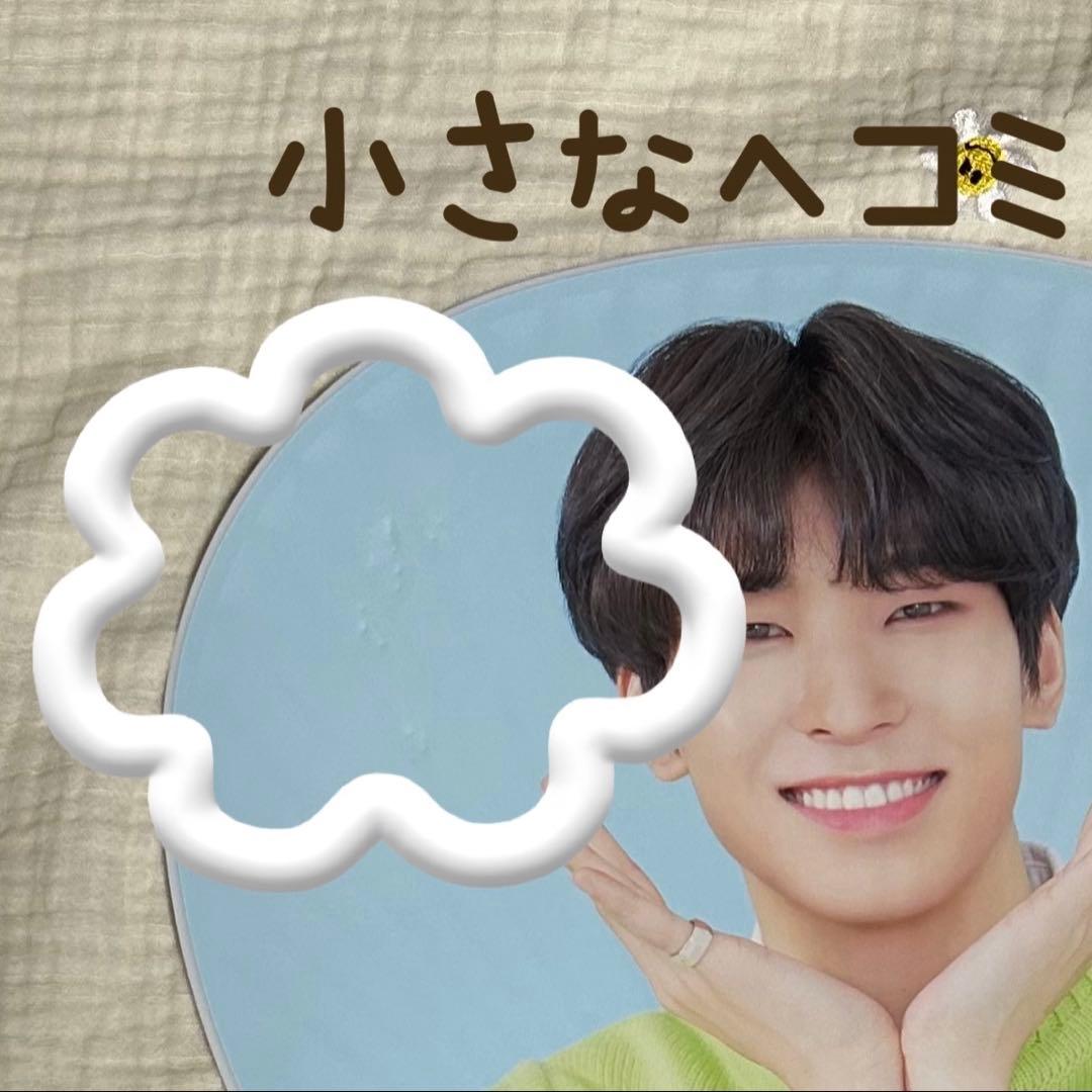 seventeen セブチ うちわ ウォヌ