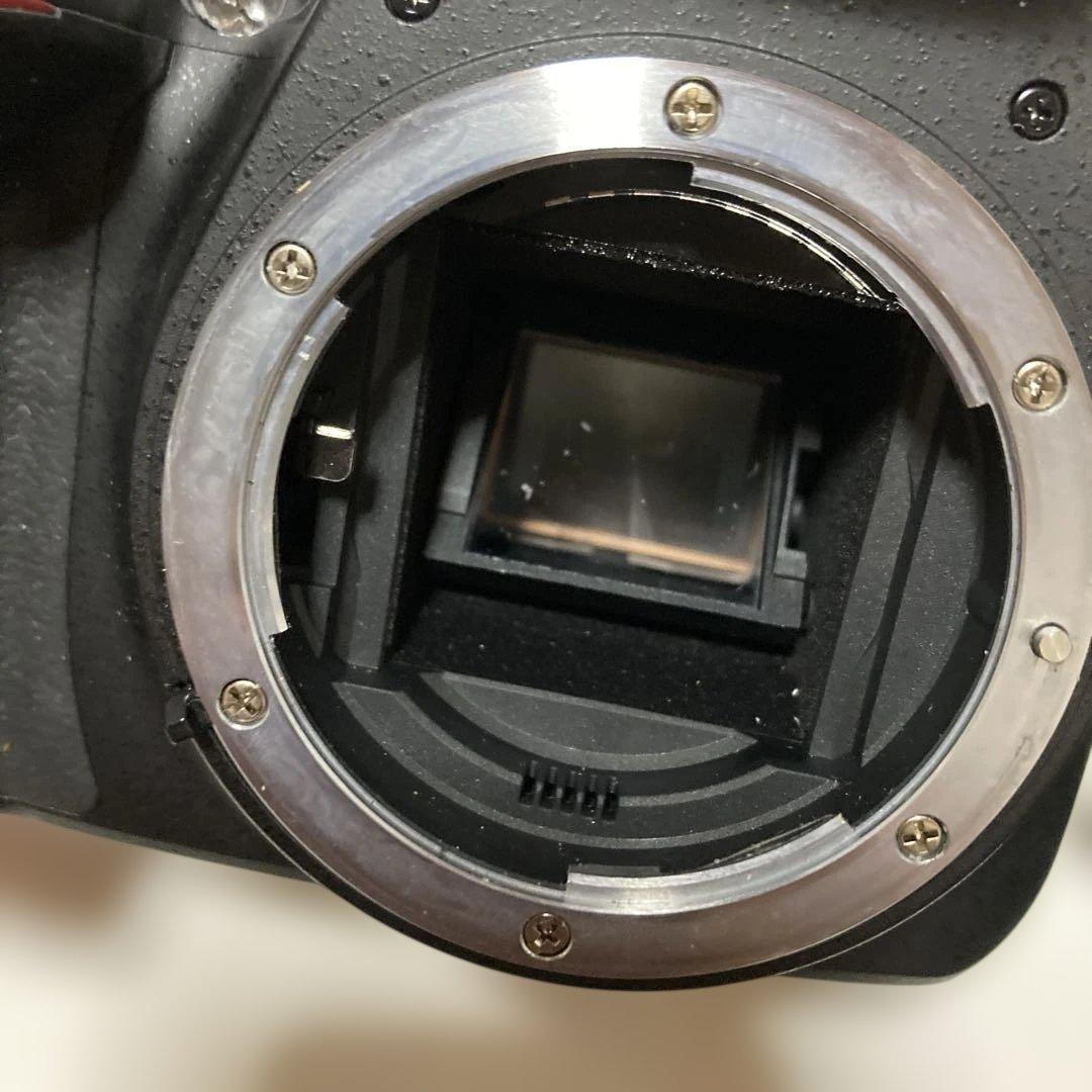 Nikon デジタル一眼レフカメラ D3300
