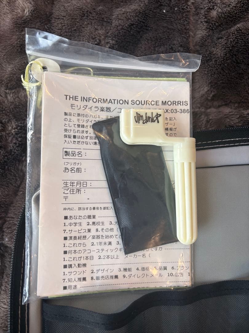 アコースティックギター morris M-11NAT