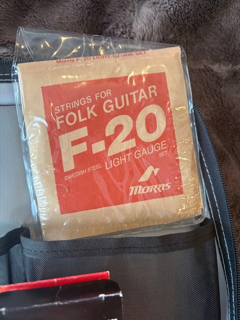 アコースティックギター morris M-11NAT