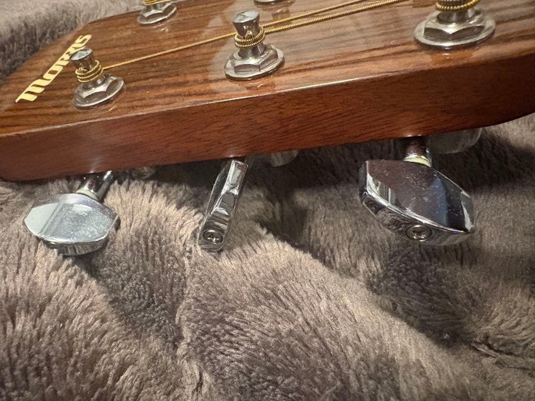 アコースティックギター morris M-11NAT