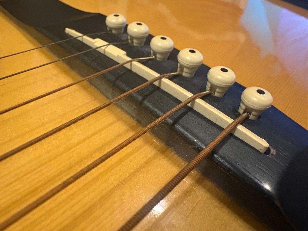 アコースティックギター morris M-11NAT