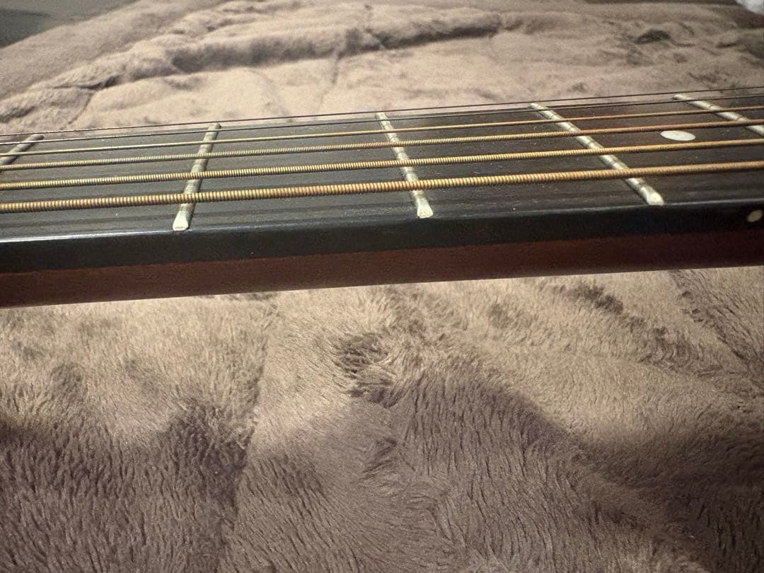 アコースティックギター morris M-11NAT