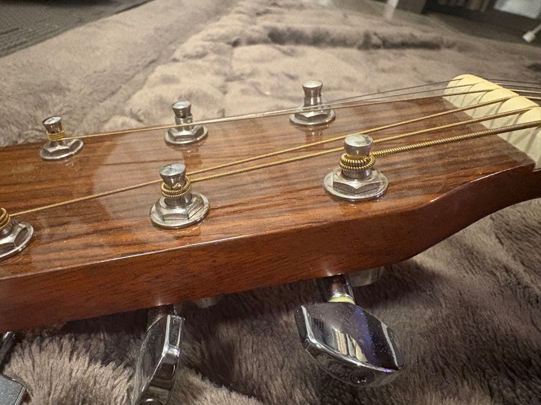 アコースティックギター morris M-11NAT