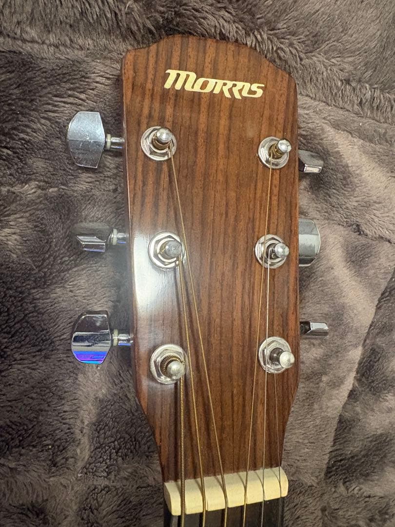アコースティックギター morris M-11NAT