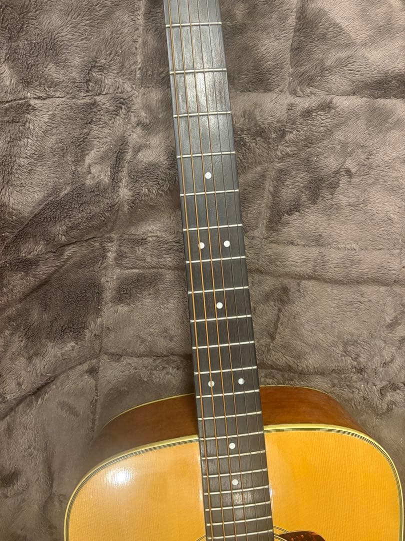 アコースティックギター morris M-11NAT