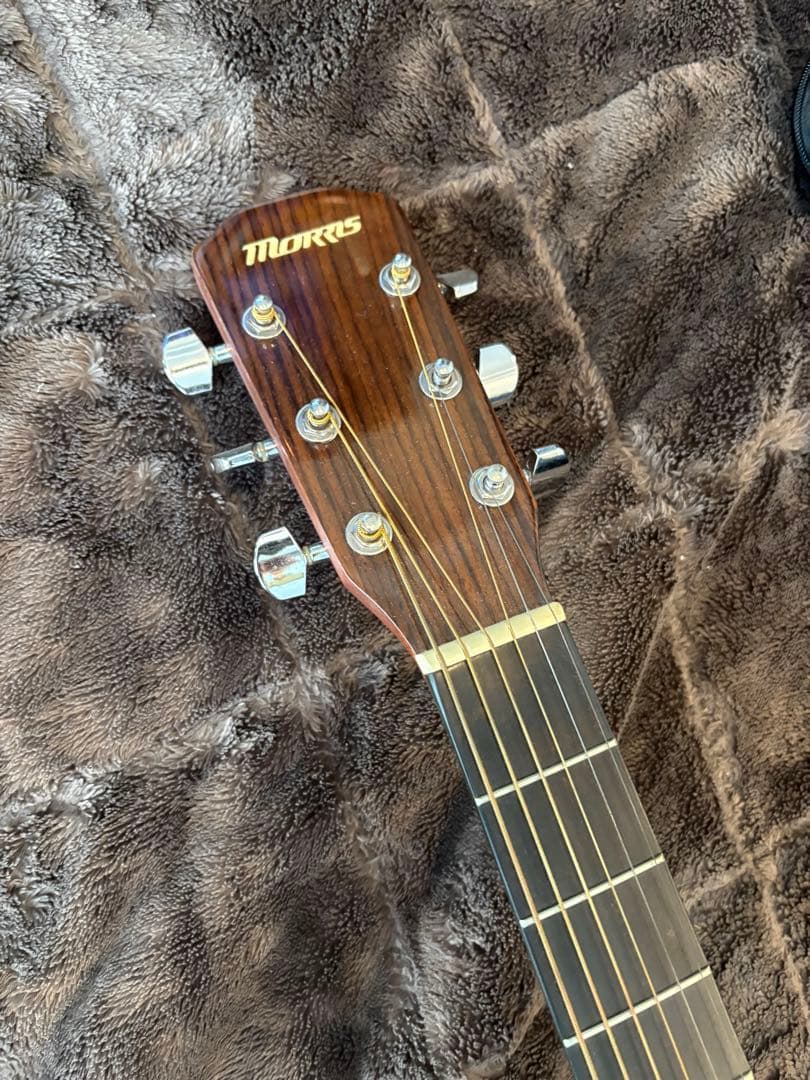 アコースティックギター morris M-11NAT