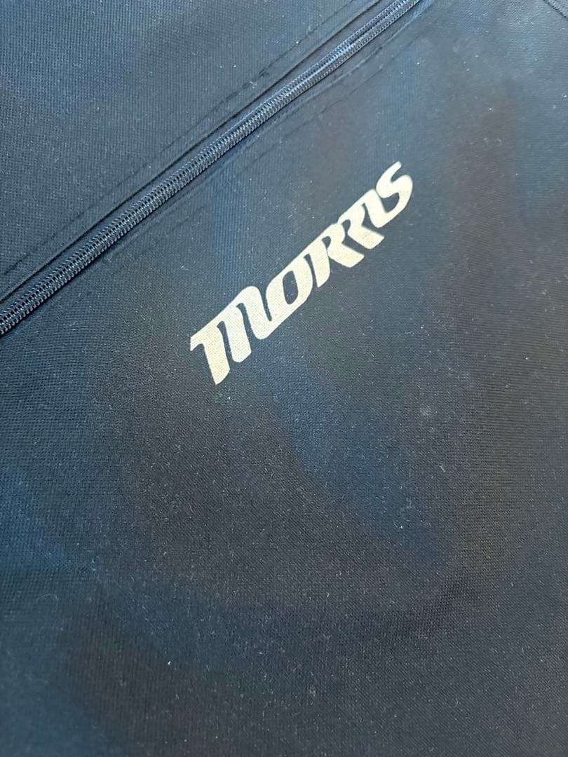 アコースティックギター morris M-11NAT
