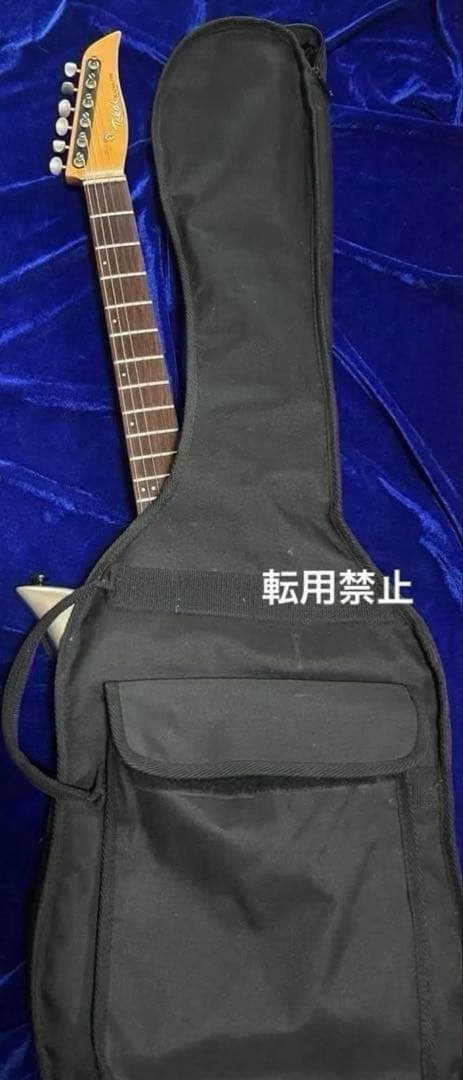 【TOKAI 】タルボ　BLAZING FIRE