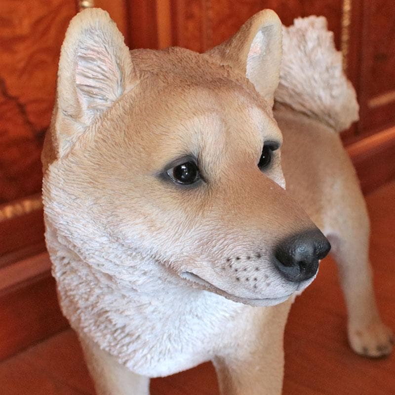柴犬オブジェ エクステリア ガーデンオブジェ イヌ 犬 置物 375-269