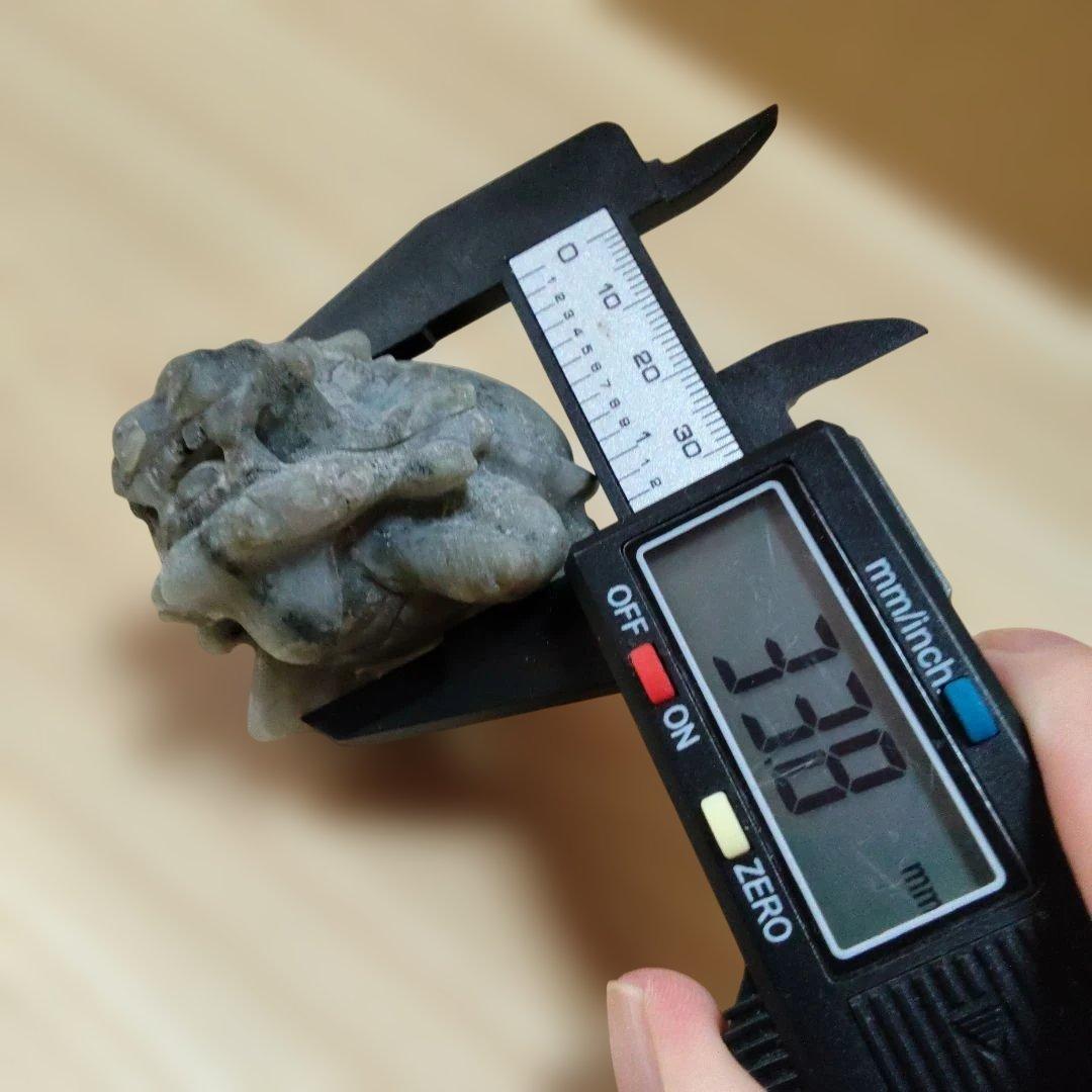 龍亀　ろんぐい　11個セット売り　一つ顔潰れあり