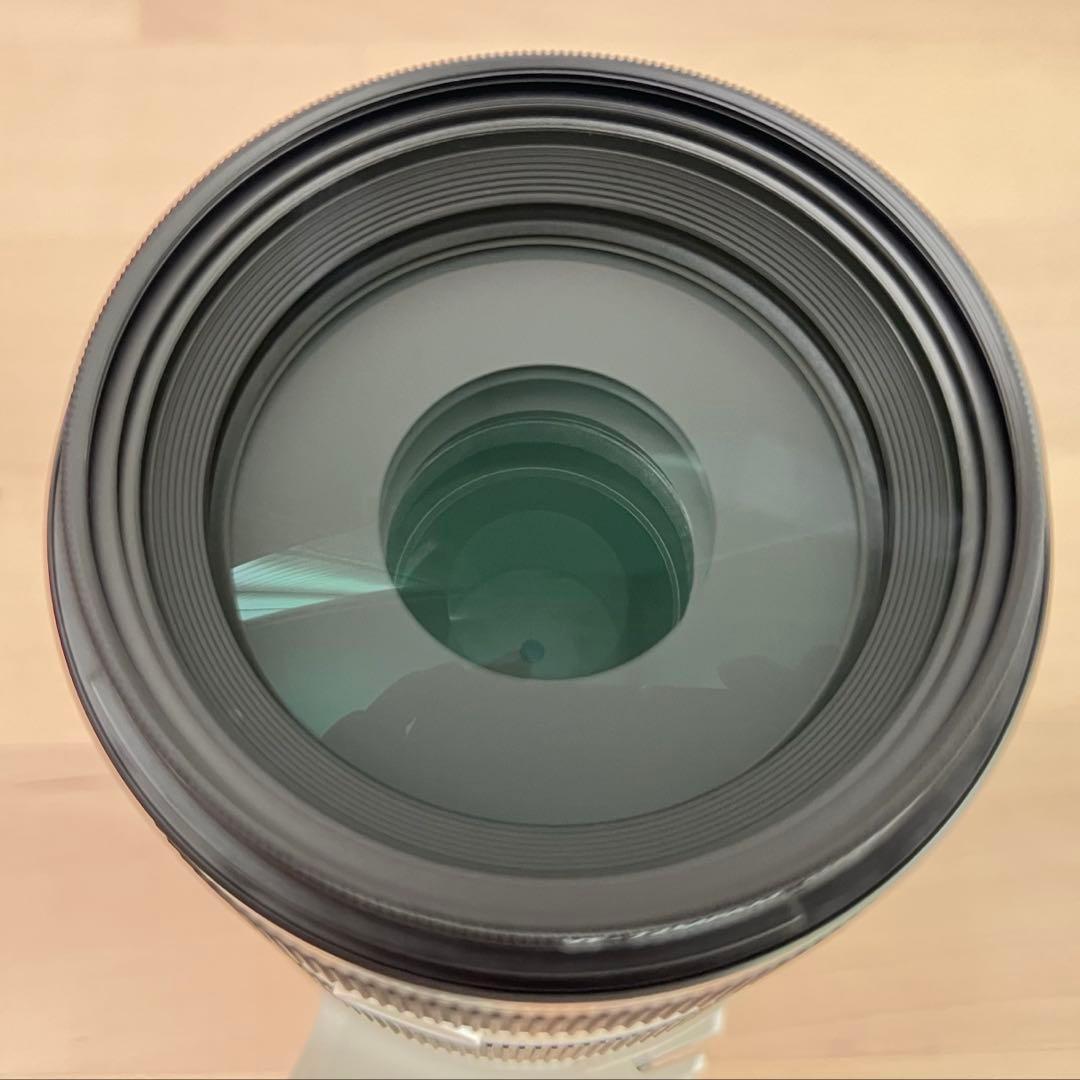 SONY FE70-200mm F4 Macro G OSS II プロテクタ付