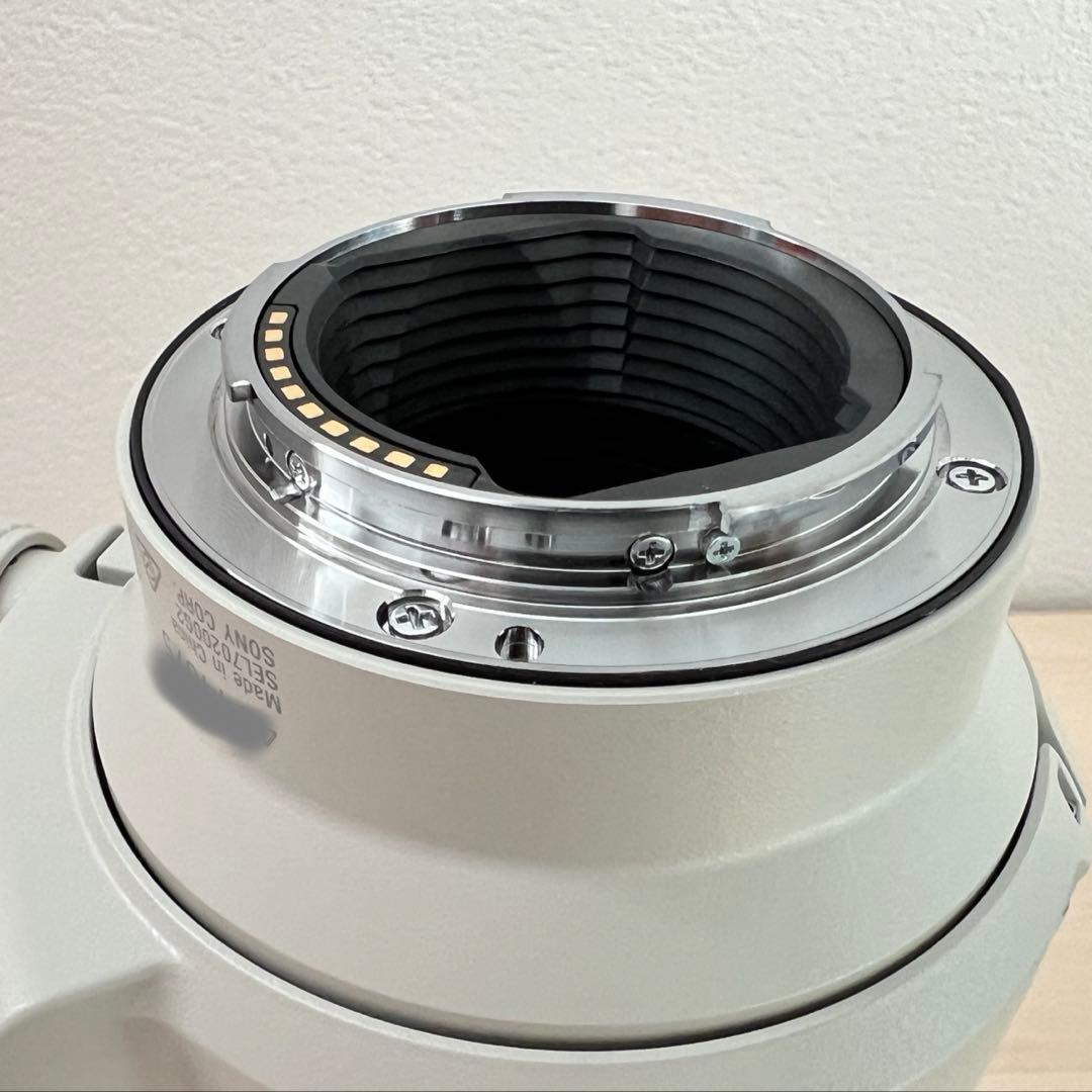 SONY FE70-200mm F4 Macro G OSS II プロテクタ付