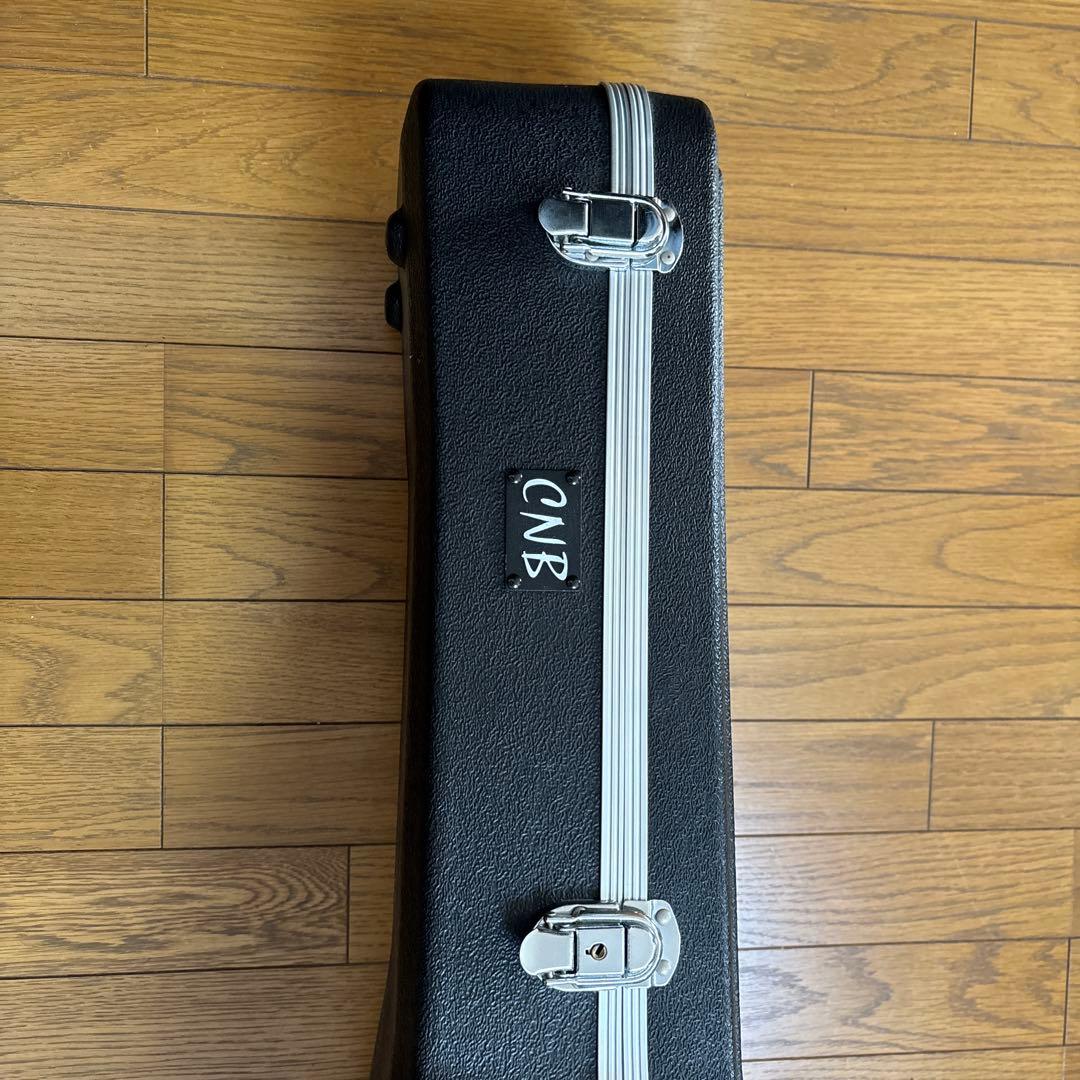 ハカランダ　ジャパンビンテージ　極美品激鳴り モラレス　８００