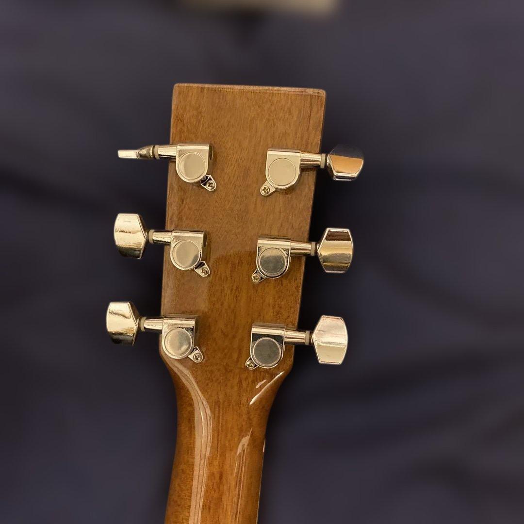 Sepia Cruz WG-10 N アコースティックギター