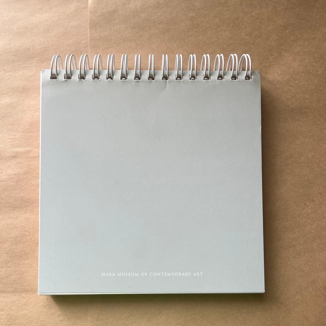 SOPHIE CALLE ソフィ カル　限局性激痛　原美術館　図録