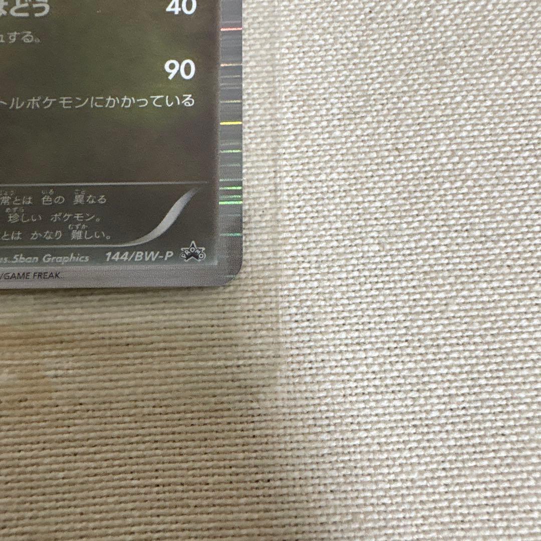 レックウザ プロモ 信長の野望 未開封