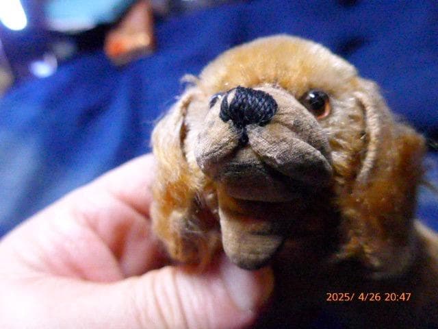 50年代のシュタイフの犬のぬいぐるみです。