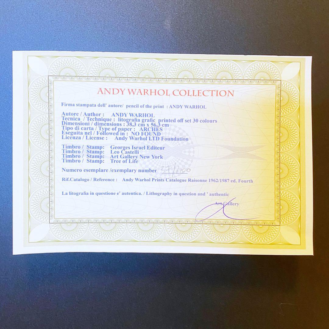 【模写】貴重 世界限定100枚 アンディ・ウォーホル ジョン・レノン リトグラフ