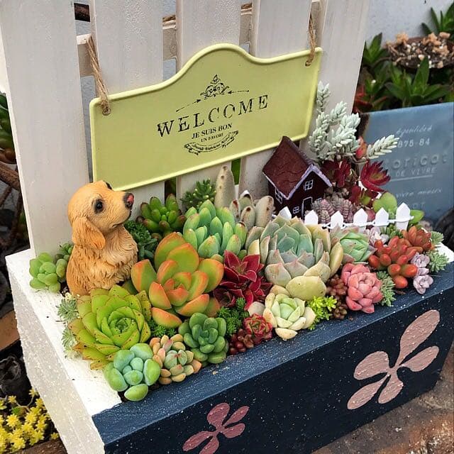 ★多肉植物　寄せ植え〜flower 木箱寄せ〜★