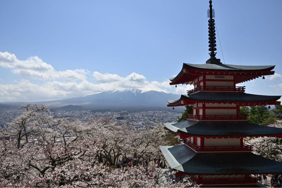 レンズ(ズーム) Nikon AF-S NIKKOR 16-80mm f/2.8-4E ED VR