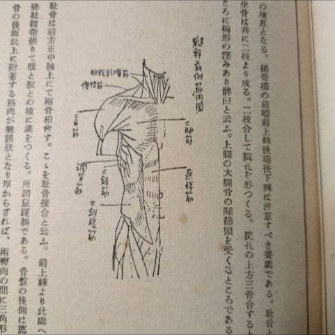 【昭和15年/1940年】洋画教本 【貴重資料】