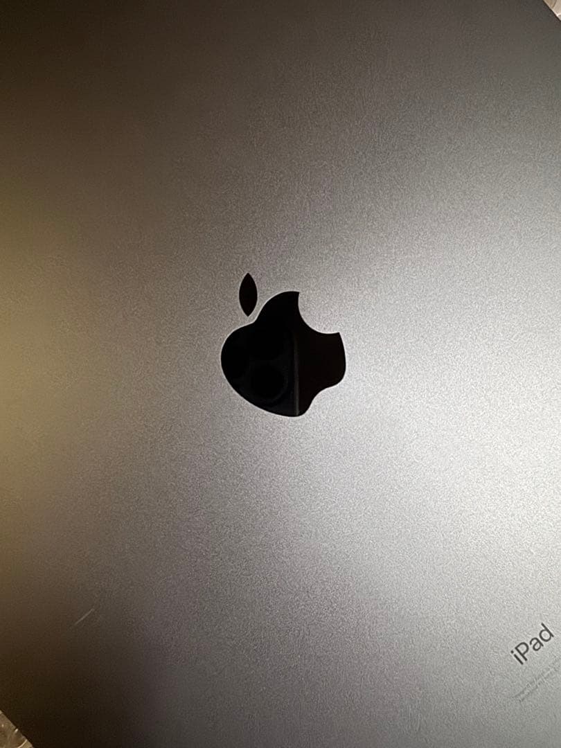 iPad Pro スペースグレー Apple Pencil ケース付き