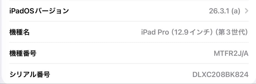 iPad Pro スペースグレー Apple Pencil ケース付き