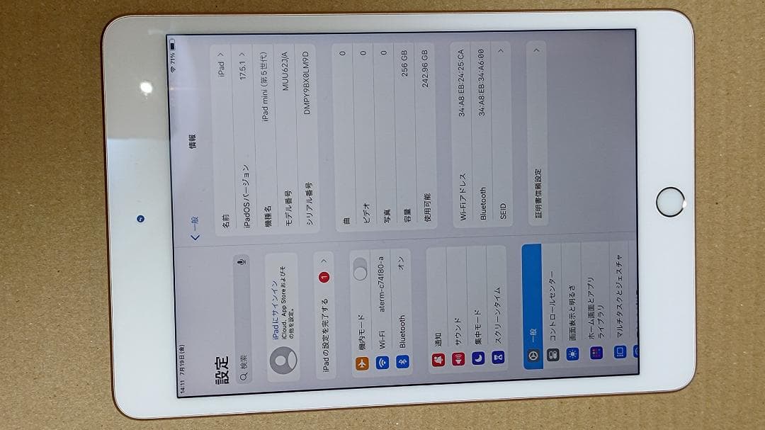 ジャンク品 Apple iPad mini 4 256GB ゴールド Wi-Fi