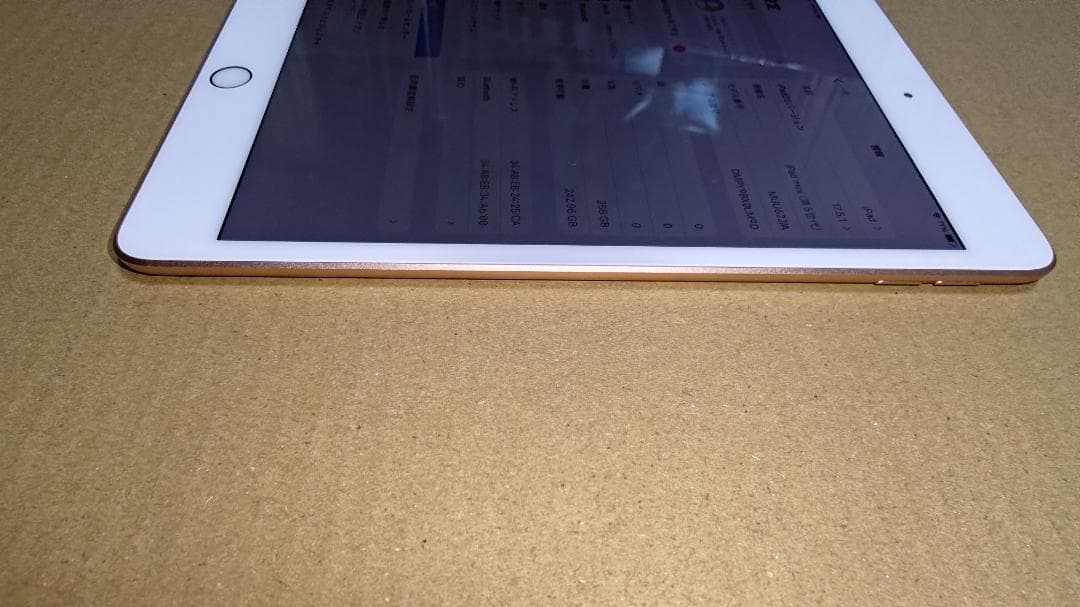 ジャンク品 Apple iPad mini 4 256GB ゴールド Wi-Fi