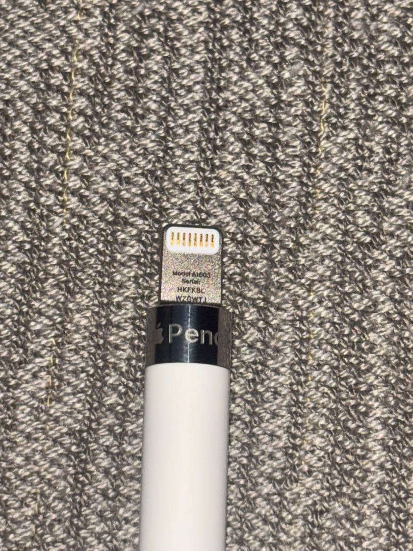 国内版Apple pencil 第一世代付属品完備A1603 MQLY3J/A