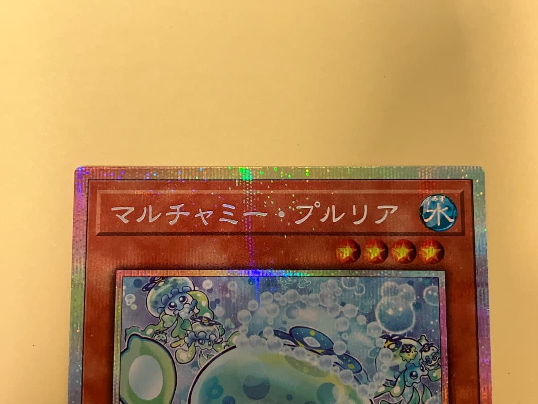 マルチャミーフワロス　プルリア　プリズマ