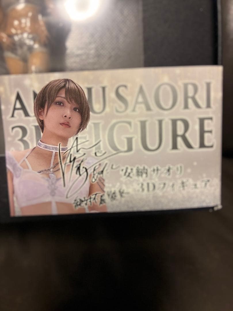 絶対不屈彼女 安納サオリ3Dフィギュア