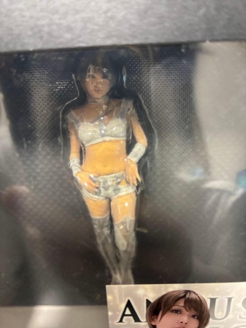 絶対不屈彼女 安納サオリ3Dフィギュア