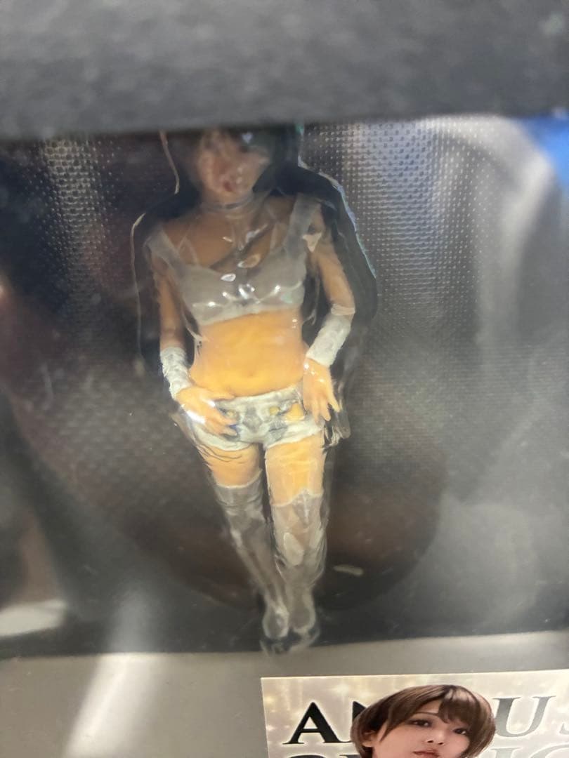 絶対不屈彼女 安納サオリ3Dフィギュア