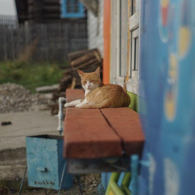 50　美品 初期型　ジュピター 8 　2/50 L39アダプター付