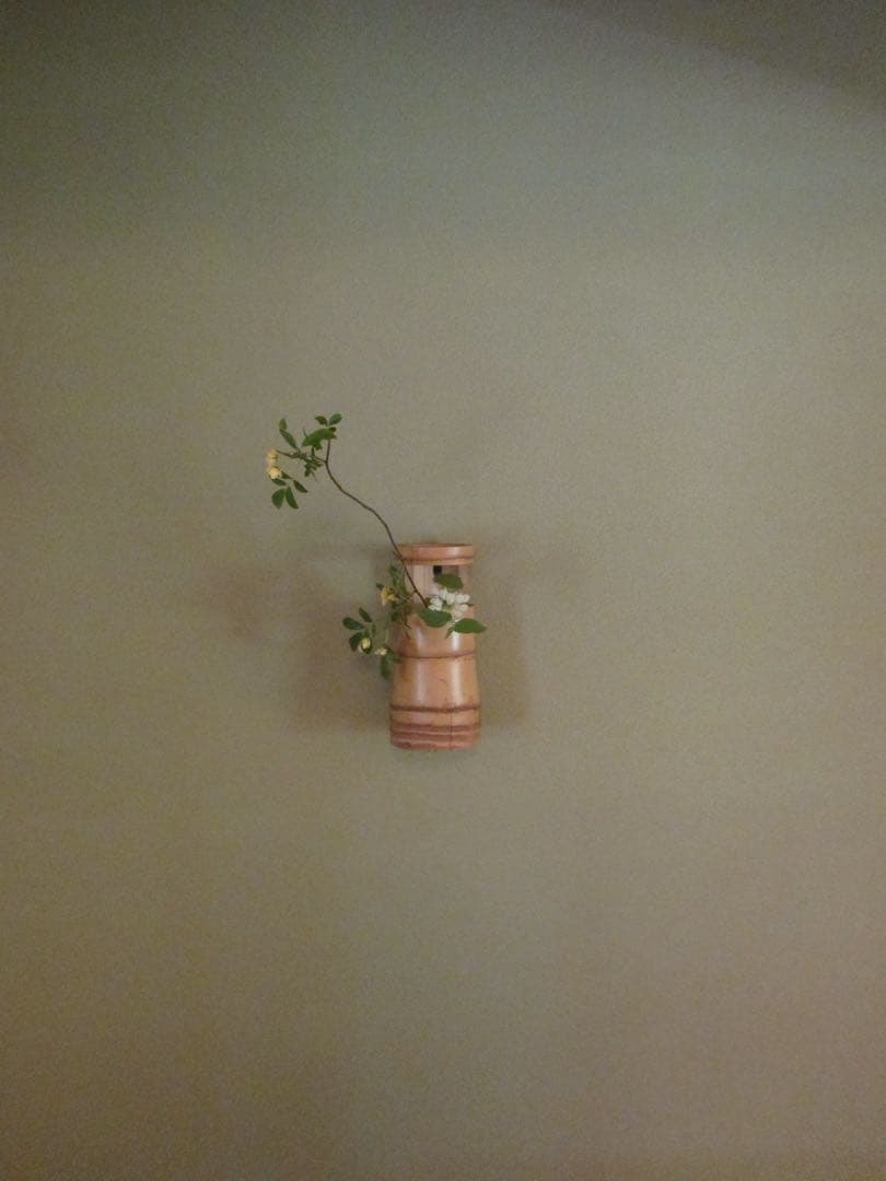 デジタルカメラ Canon IXY 110F RE