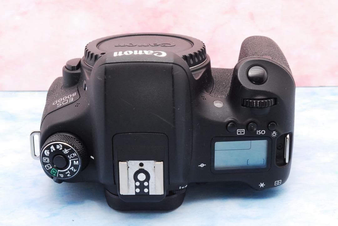 Wi-Fi☆Canon EOS 8000D☆Wレンズ☆一眼レフカメラ☆入学式
