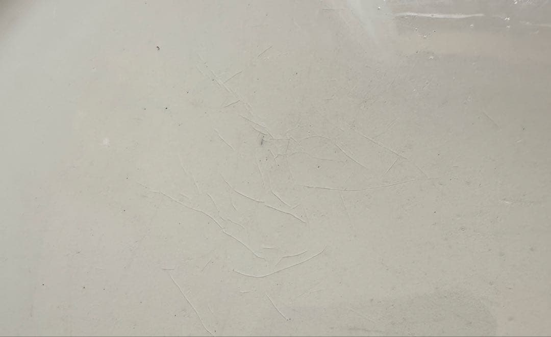 花リム　luneville リュネヴィル　フランス　アンティーク　プレート　皿