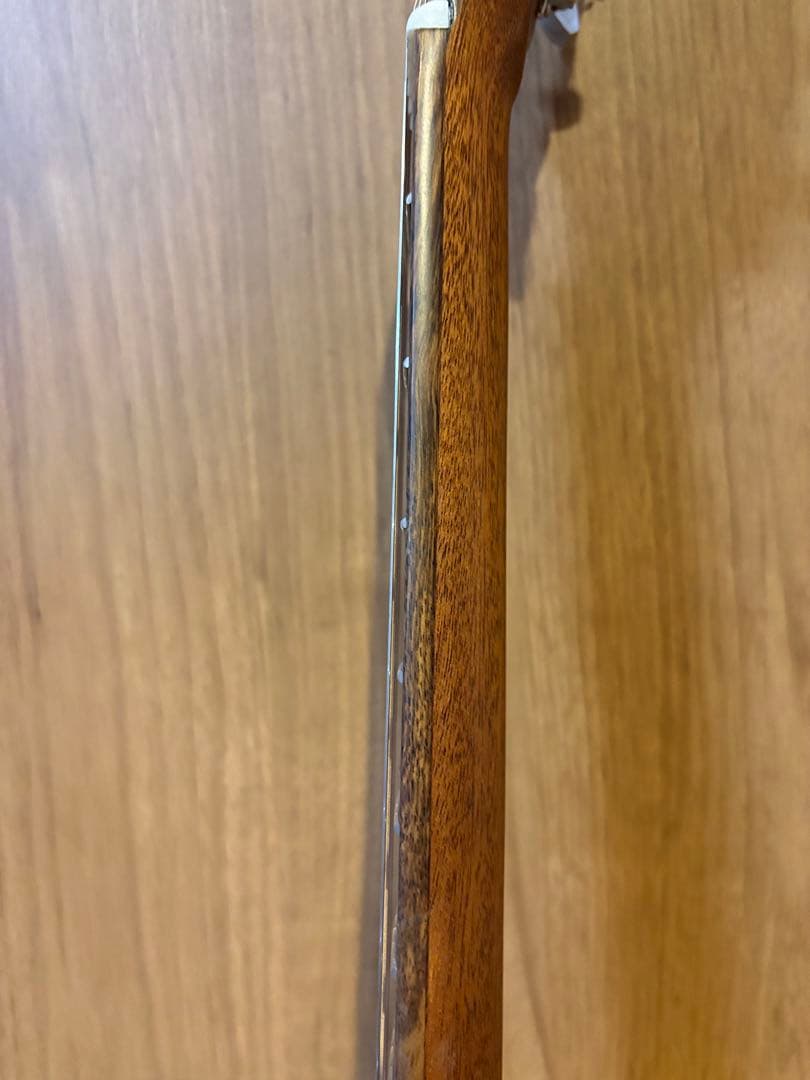 ギター　ゼマイティス　ZEMAITIS 新品未使用‼️ピック　ケース付き