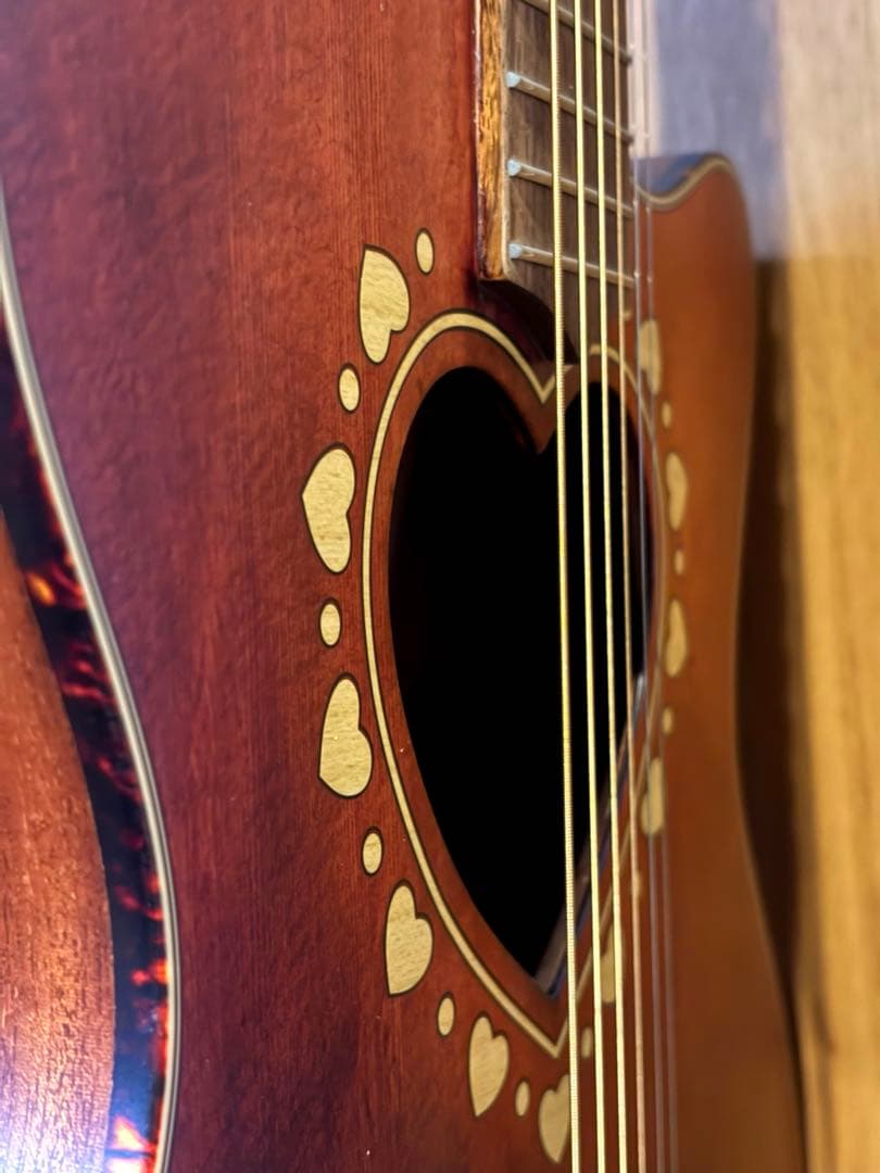 ギター　ゼマイティス　ZEMAITIS 新品未使用‼️ピック　ケース付き