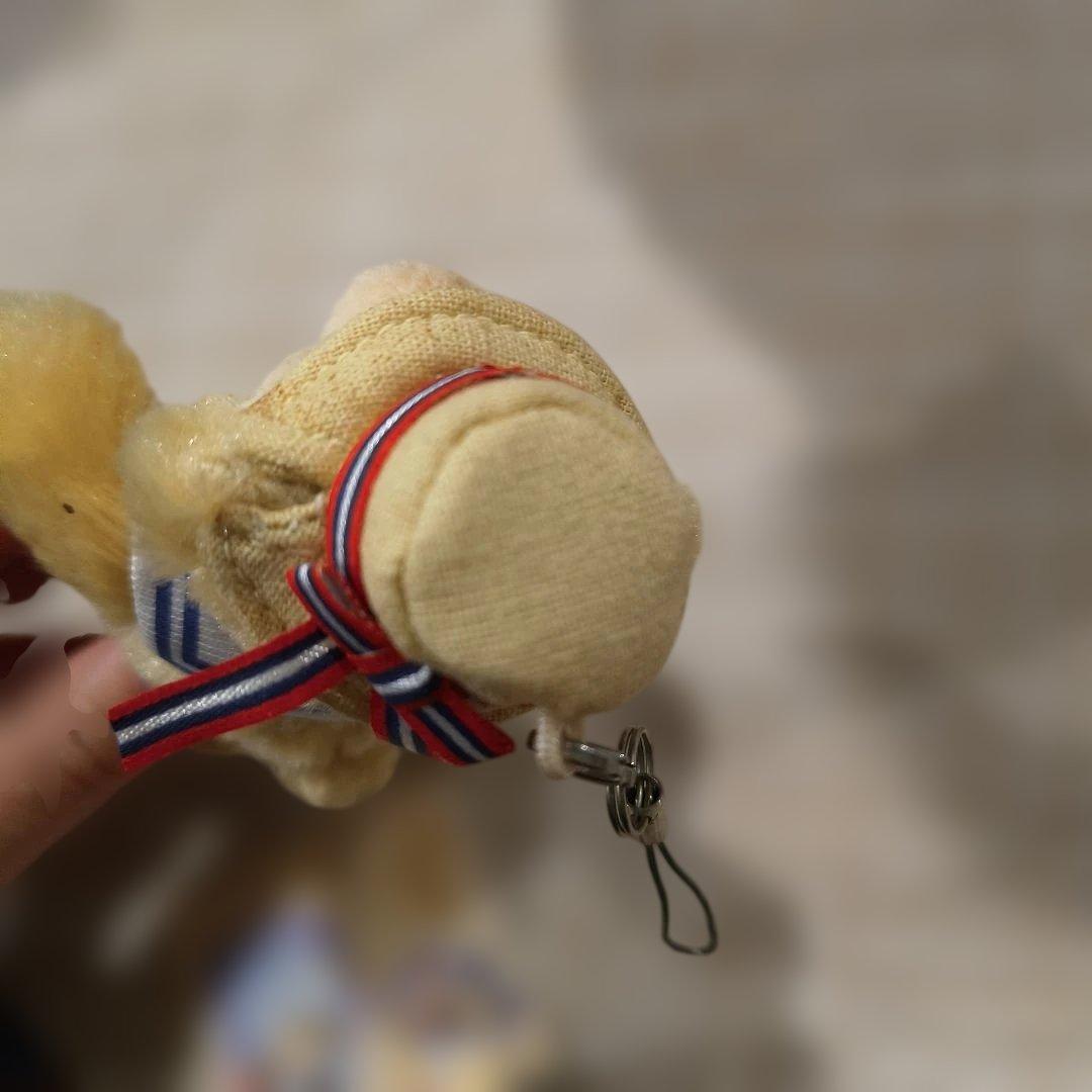 ディズニーリゾート　ジャンボリーナイトダッフィーぬいぐるみストラップ