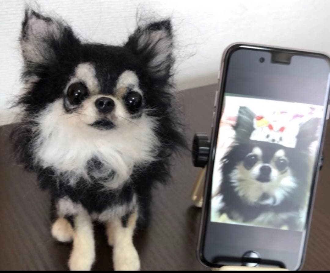 K*T様 わたわたペット　わんこ限定　分身の術　中サイズ　(25センチ程)羊毛フ