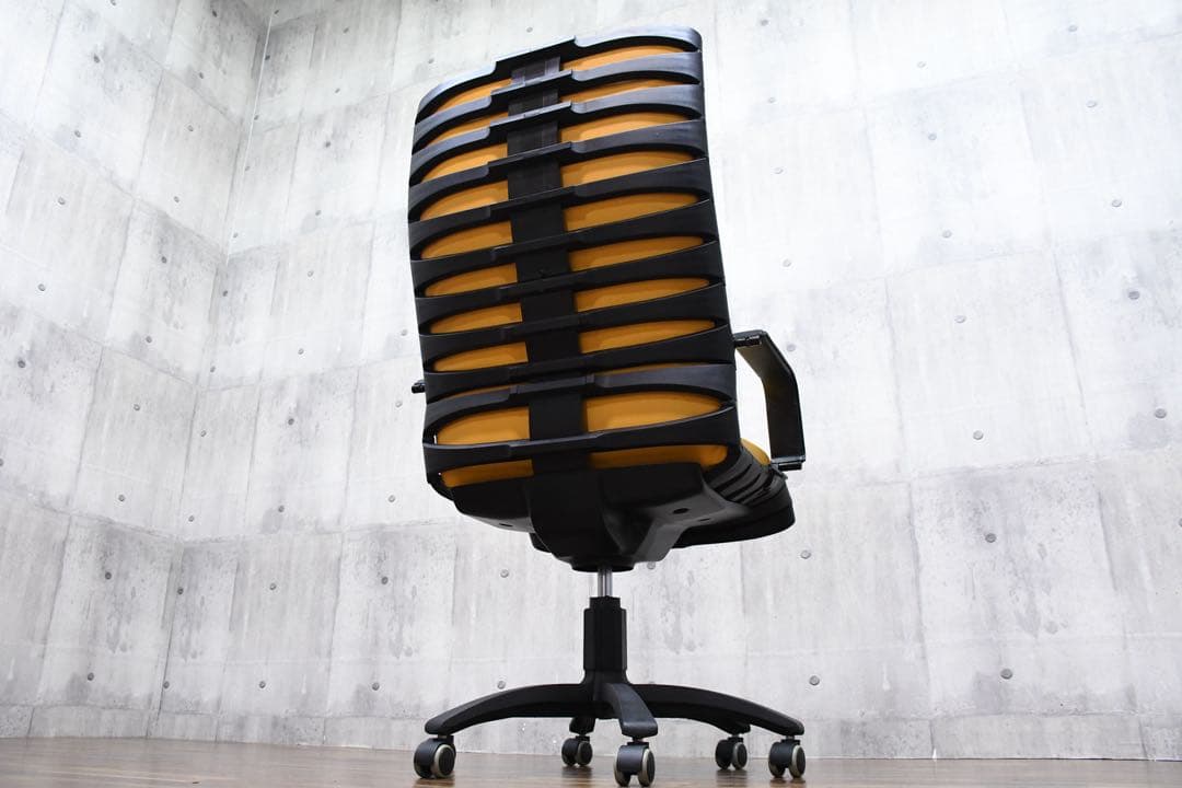 FAK34 美品 ポルトローナフラウ アントロポヴァリウス プレジデントチェア