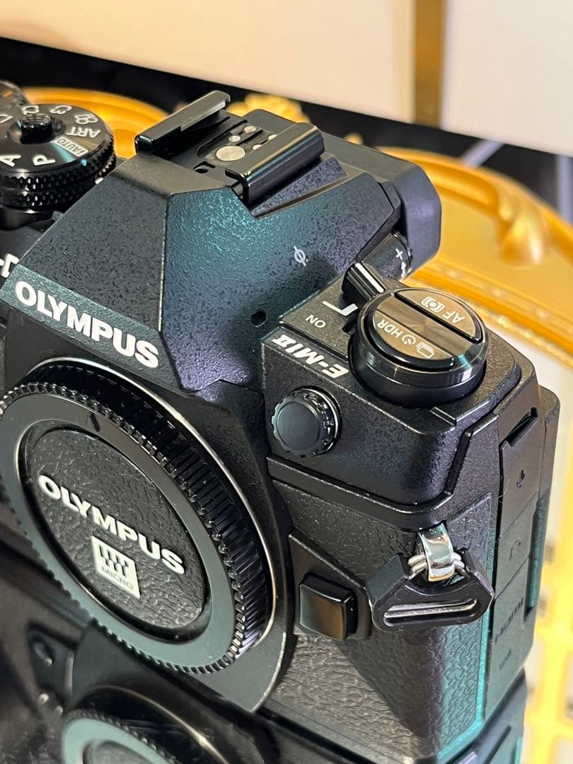 OLYMPUS OM-D E-M1 Mark II ボディ 美品 5578回