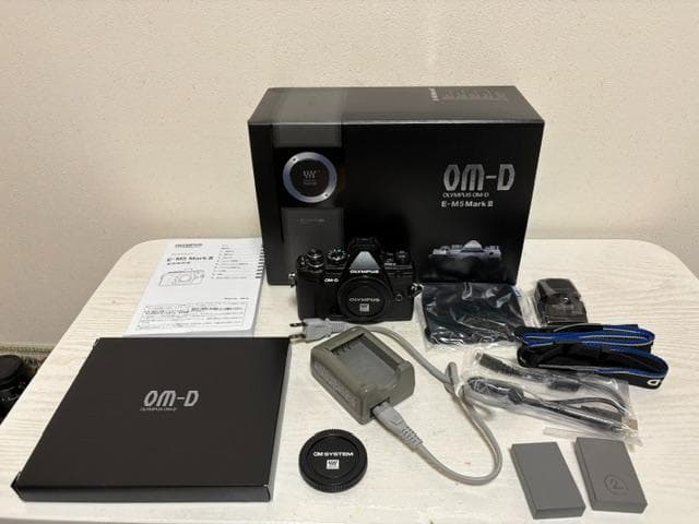 極美品★OLYMPUS/OM-D E-M5 MarkⅢ★おまけ多数★