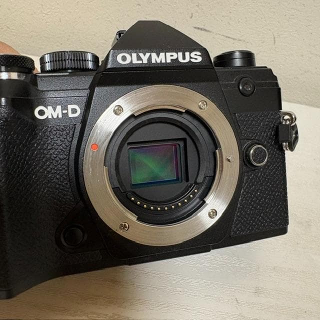 極美品★OLYMPUS/OM-D E-M5 MarkⅢ★おまけ多数★