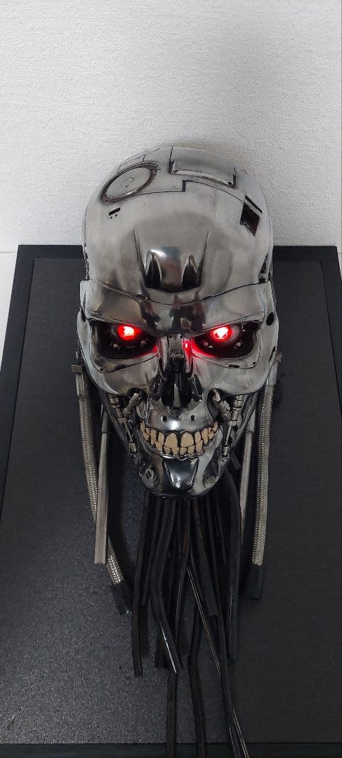 M1号　1/1　改修エンドスカル