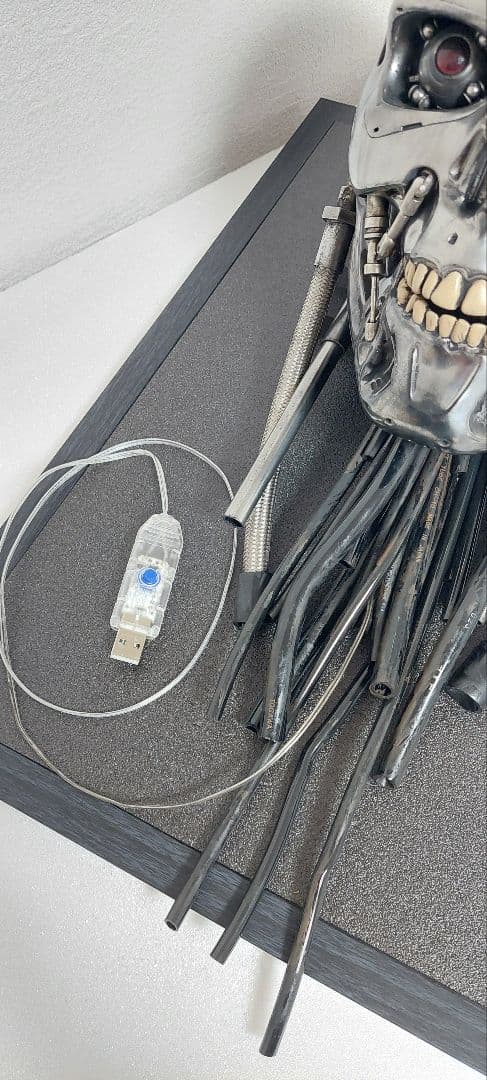 M1号　1/1　改修エンドスカル