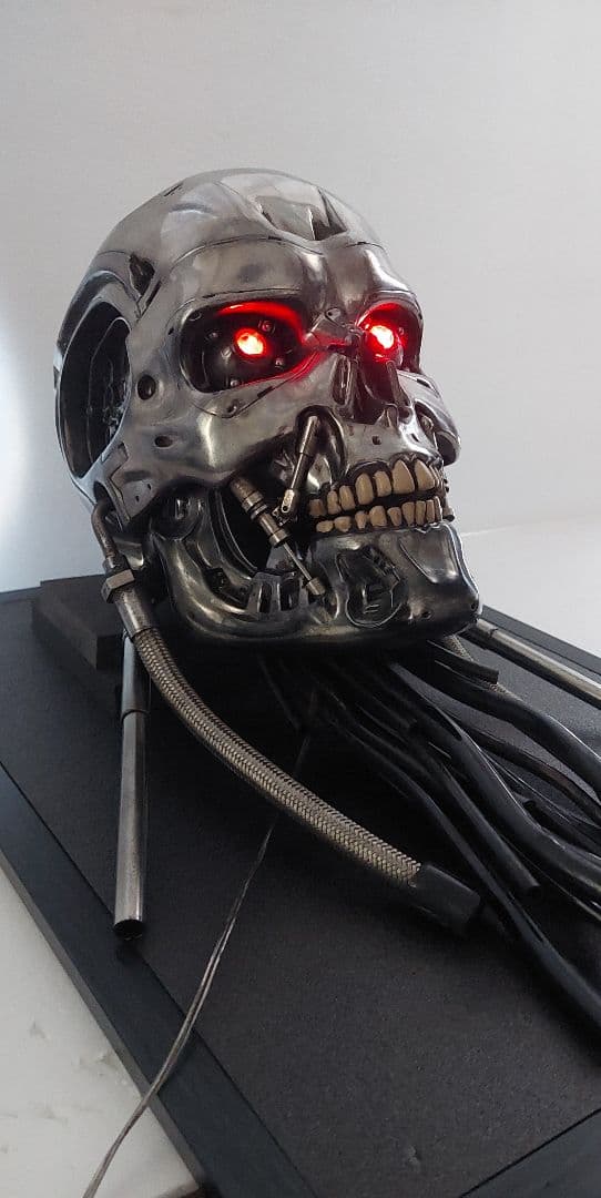 M1号　1/1　改修エンドスカル